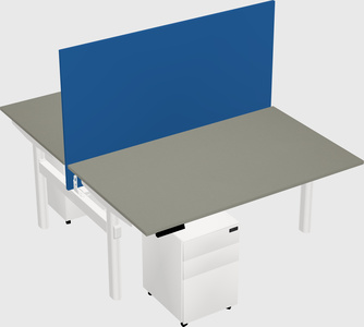 Shared electric desk
