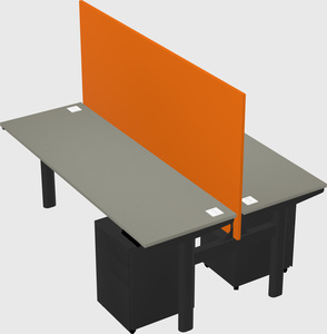 Shared electric desk