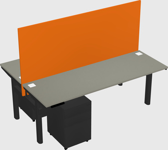 Shared electric desk