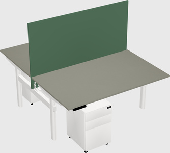 Shared electric desk