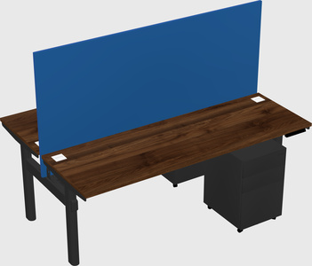 Shared electric desk