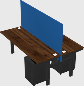 Shared electric desk