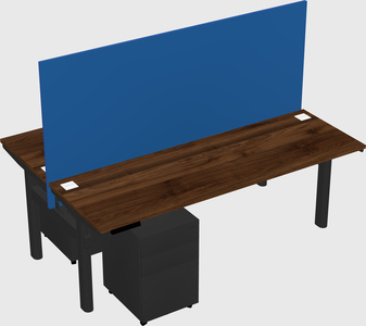 Shared electric desk