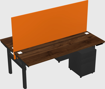 Shared electric desk