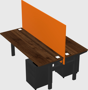 Shared electric desk