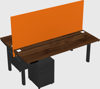 Shared electric desk