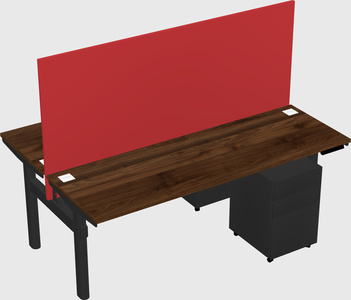 Shared electric desk