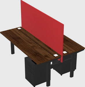 Shared electric desk