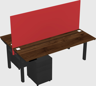 Shared electric desk