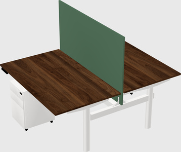Shared electric desk