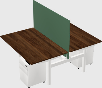 Shared electric desk