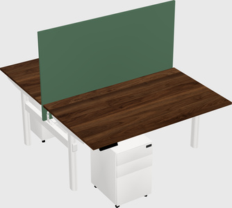 Shared electric desk