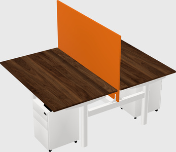 Shared electric desk