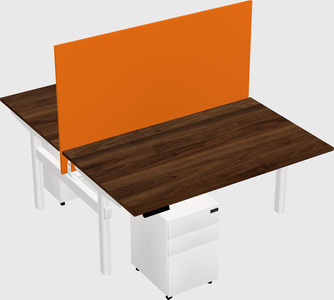 Shared electric desk