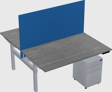 Shared electric desk