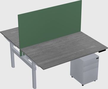 Shared electric desk