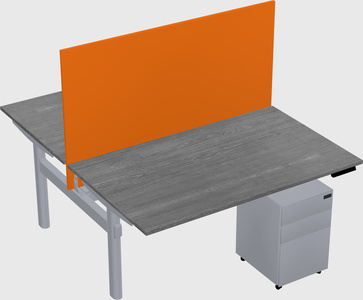Shared electric desk