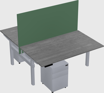 Shared electric desk