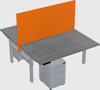 Shared electric desk