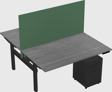 Shared electric desk
