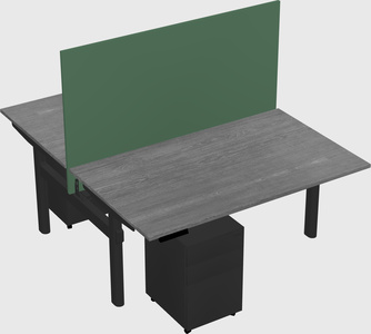 Shared electric desk