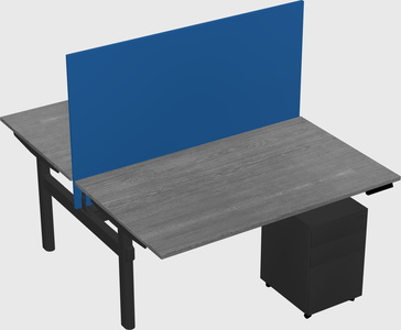 Shared electric desk