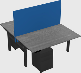 Shared electric desk