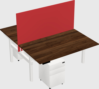 Shared electric desk
