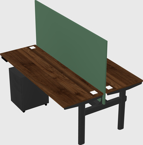 Shared electric desk