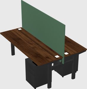 Shared electric desk