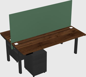 Shared electric desk