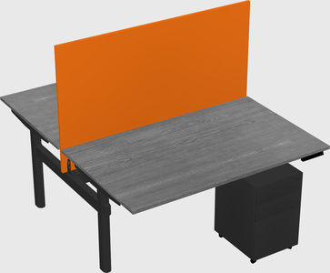 Shared electric desk