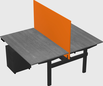 Shared electric desk