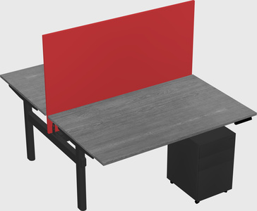 Shared electric desk