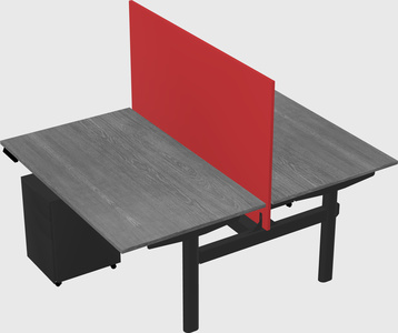 Shared electric desk