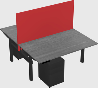Shared electric desk
