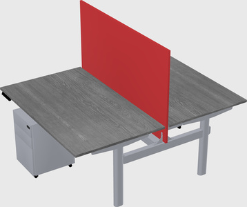 Shared electric desk