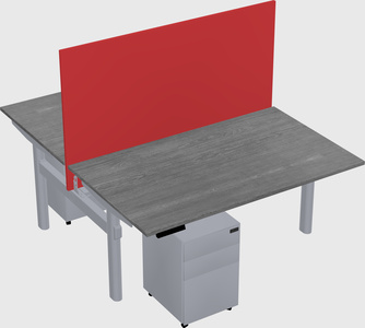 Shared electric desk