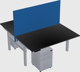 Shared electric desk