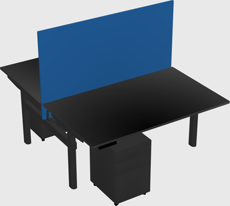Shared electric desk