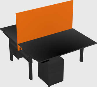 Shared electric desk
