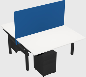 Shared electric desk
