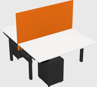 Shared electric desk