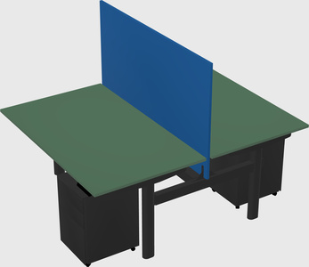 Shared electric desk
