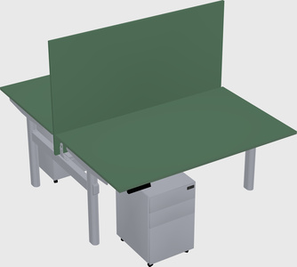 Shared electric desk
