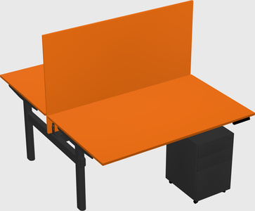 Shared electric desk