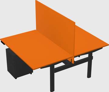 Shared electric desk
