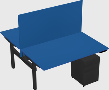 Shared electric desk