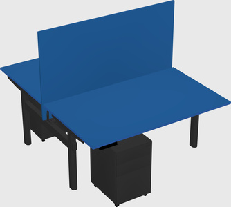 Shared electric desk