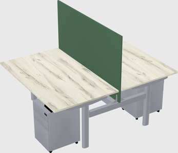 Shared electric desk